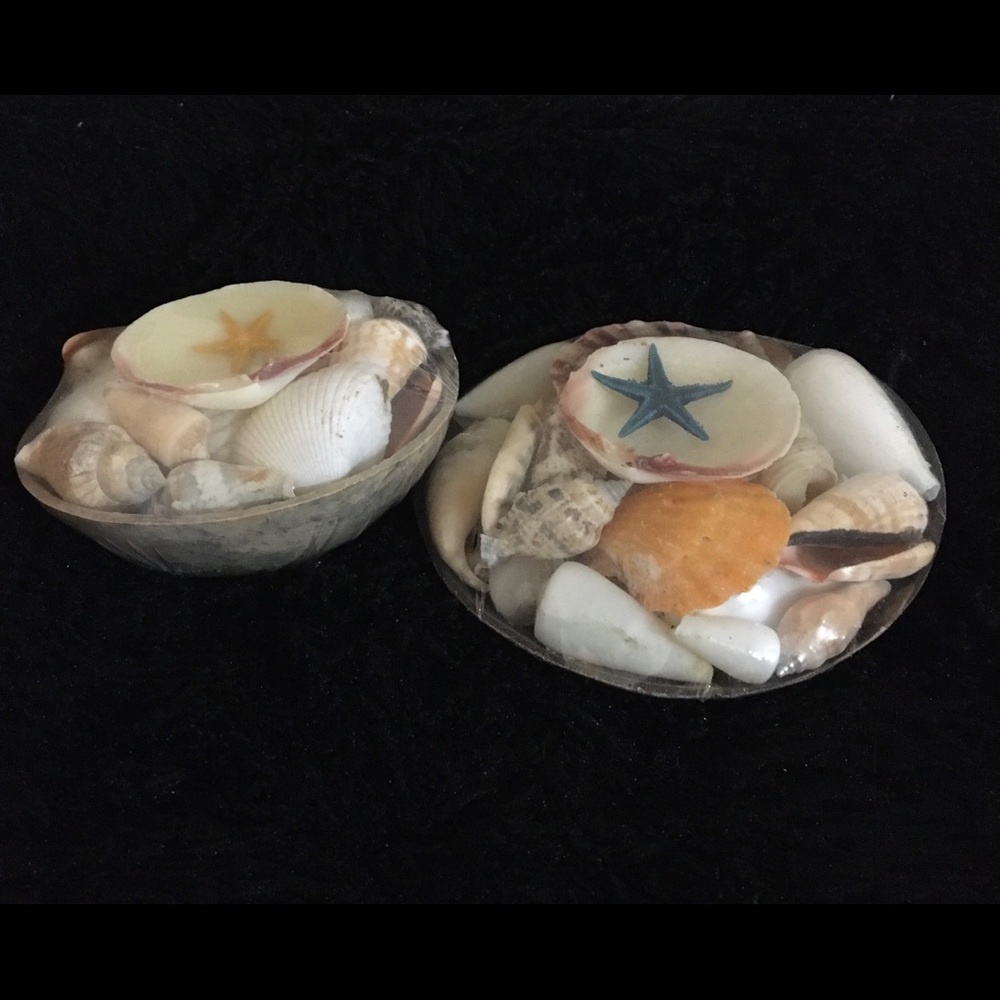 Island Shell-Coconut Pack - Picture 2 of 2